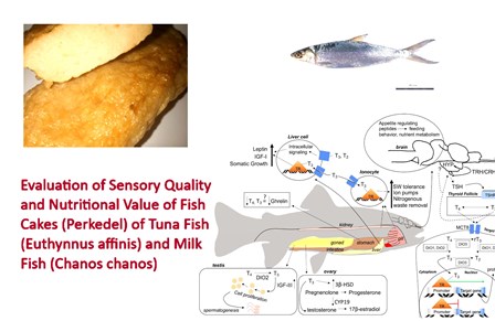 1400-15_-_Sensory_Quality_of_Fish_Cakes_Tuna__Milk_Fish
