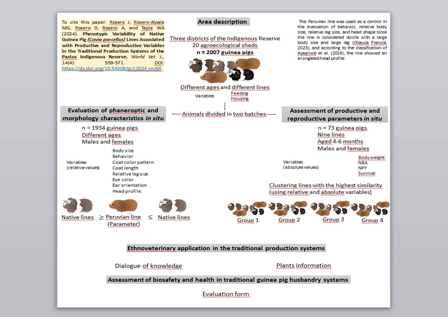 1900-62-Phenotypic_Variability_of_Native_Guinea_Pig_Cavia_porcellus