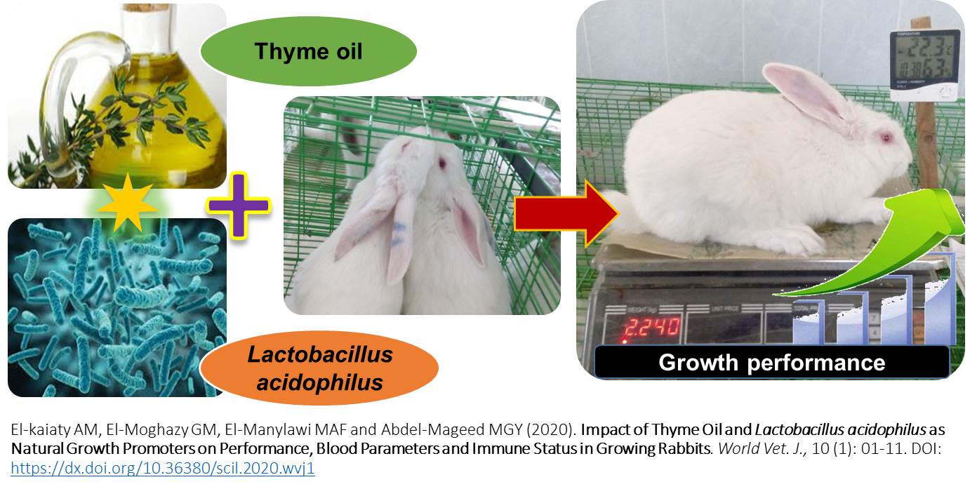 GA_WVJ_1216-Impact_of_Thyme_Oil_and_L._acidophilus