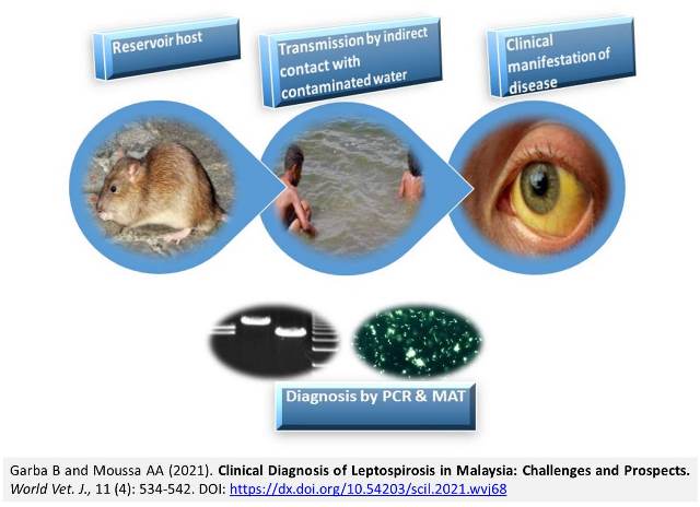 1350-Leptospirosis_in_Malaysia