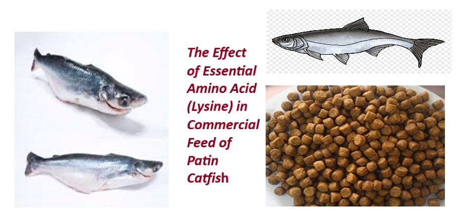 1400-07-Lysine_in_Commercial_Feed_of_Patin_Catfish_Pangasius_spjpg