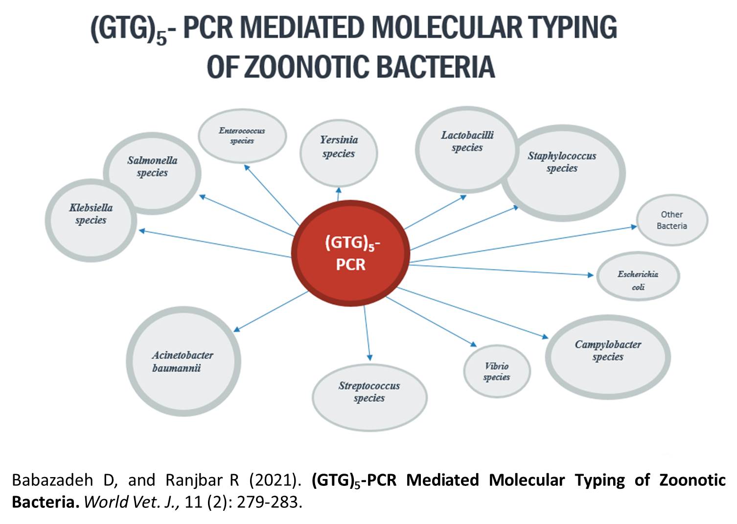 1400-31-GTG5-PCR_Mediated_Molecular_Typing_of_Zoonotic_Bacteria