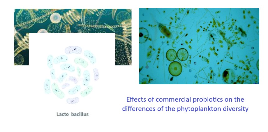 1400-g10-Probiotics_on_the_Phytoplankton_Diversity_Associated_with_Biofloc