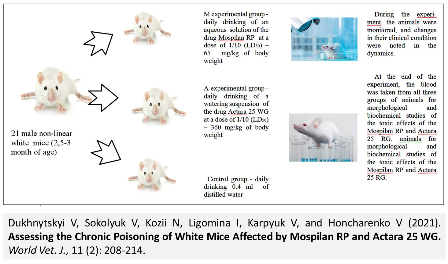1600-3--White_Mice_Affected_by_Mospilan_RP_and_Actara_25_WG