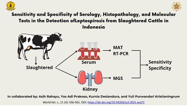 19002-Detection_of_Leptospirosis_from_Slaughtered_Cattle