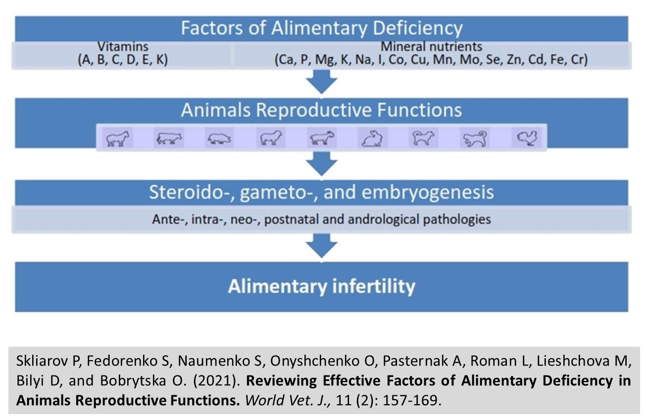 23--Factors_of_Alimentary_Deficiency_in_Animals_Reproductive_Functions