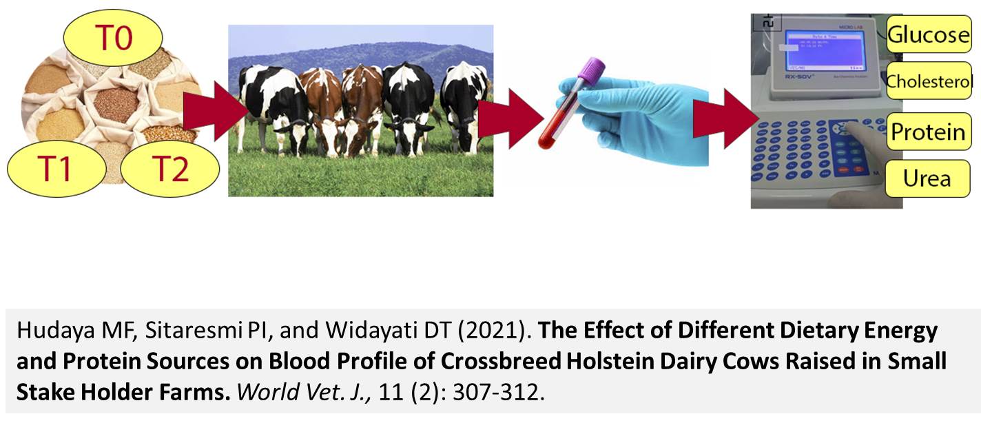 33__-_Dietary_Energy_and_Protein_on_Blood_Profile_of_Crossbreed_Holstein_Dairy_Cows