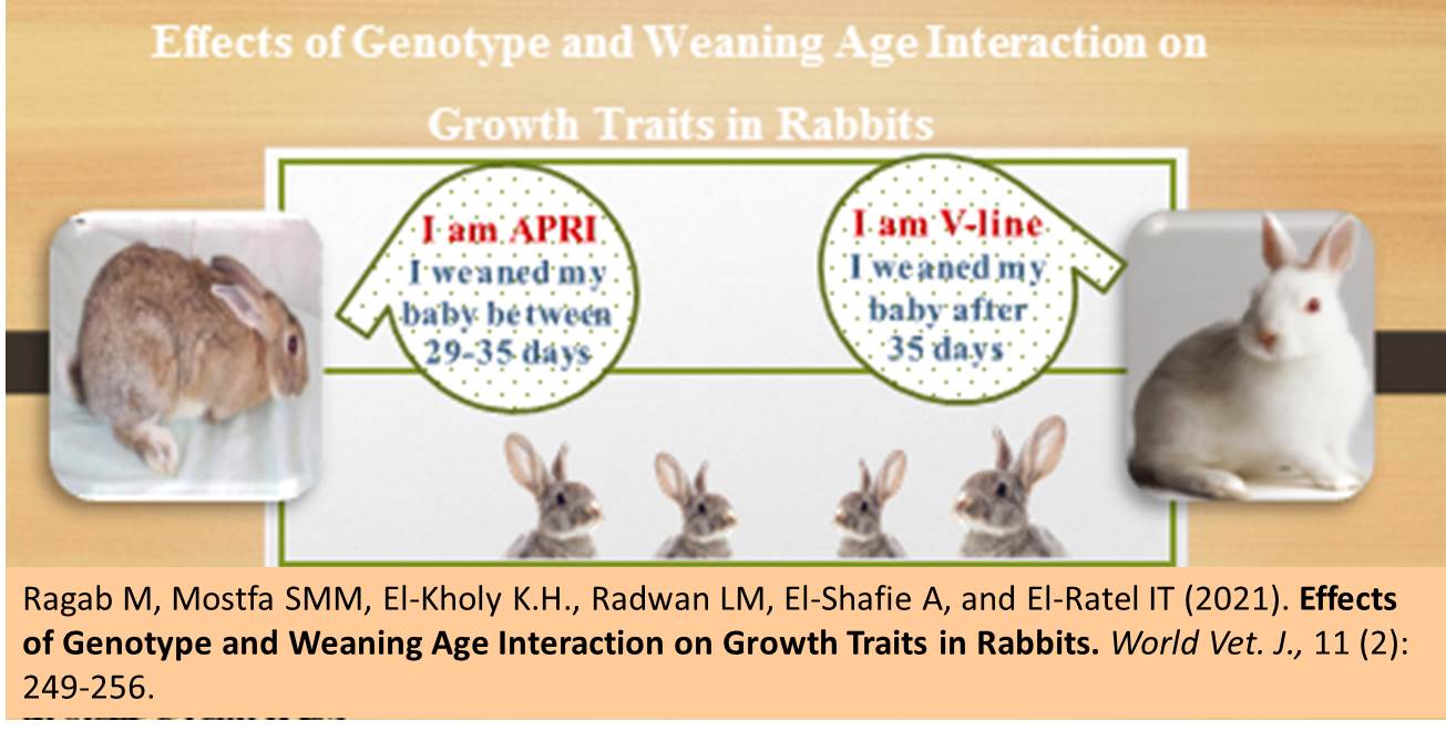 47--Genotype_and_Weaning_Age_Interaction_on_Growth_Traits_in_Rabbits