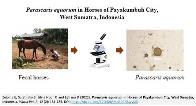 120-Parascaris_equorum_in_Horses