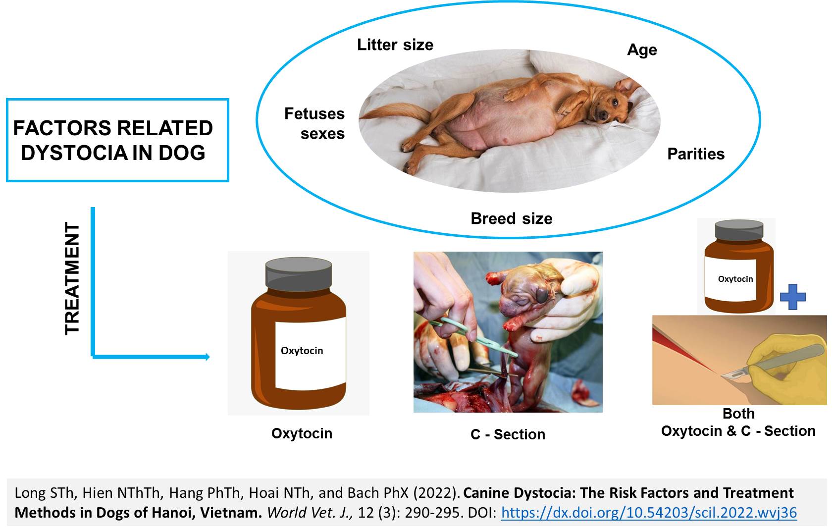 122-_Canine_Dystocia_The_Risk_Factors_and_Treatment_Methods_in_Dogs_of_Hanoi_Vietnam