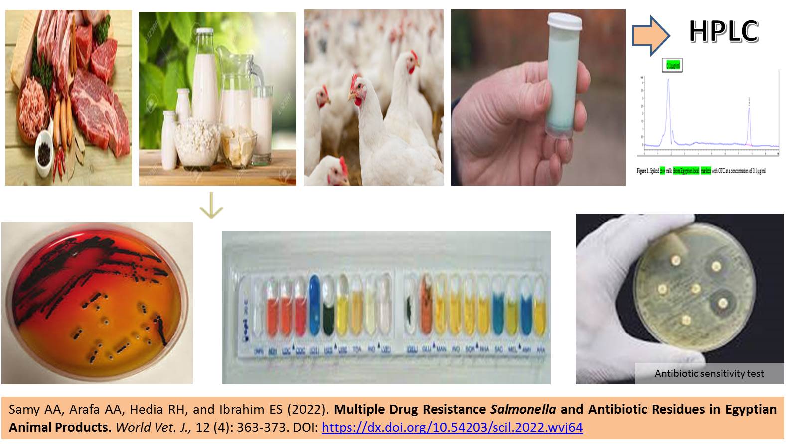 174-Multiple_Drug_Resistance_Salmonella_in_Animal_Products_-_Copy