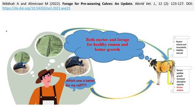 1900-13-Forage_for_Pre-weaning_Calves