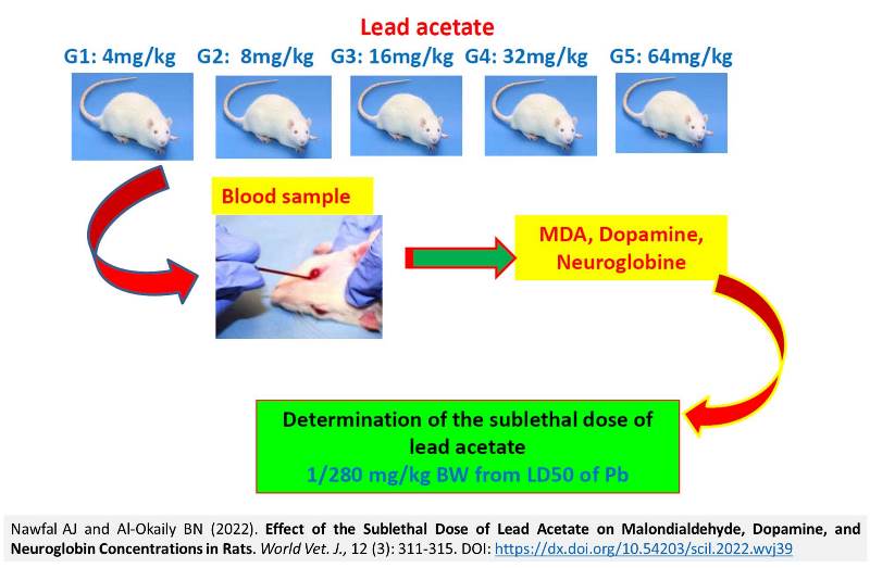 1900-19-Lead_Acetate_on_Malondialdehyde_Dopamine_and_Neuroglobin_in_Rats