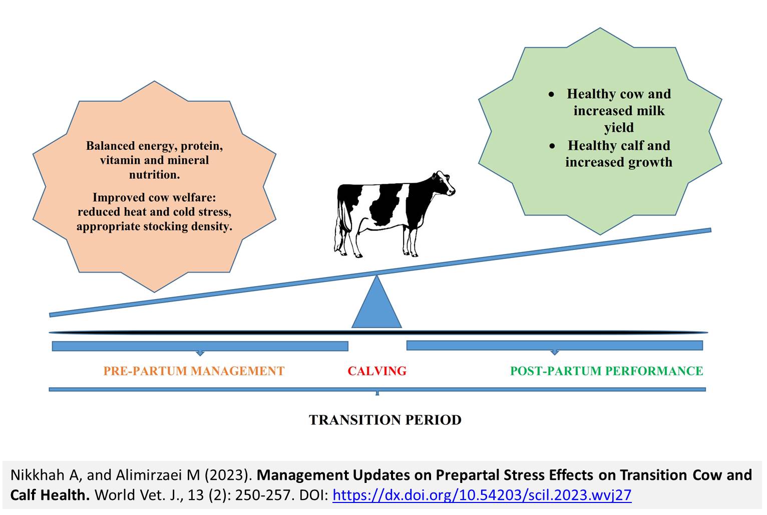 1900-27-Management_Updates_on_Prepartal_Stress_Effects_on_Transition_Cow