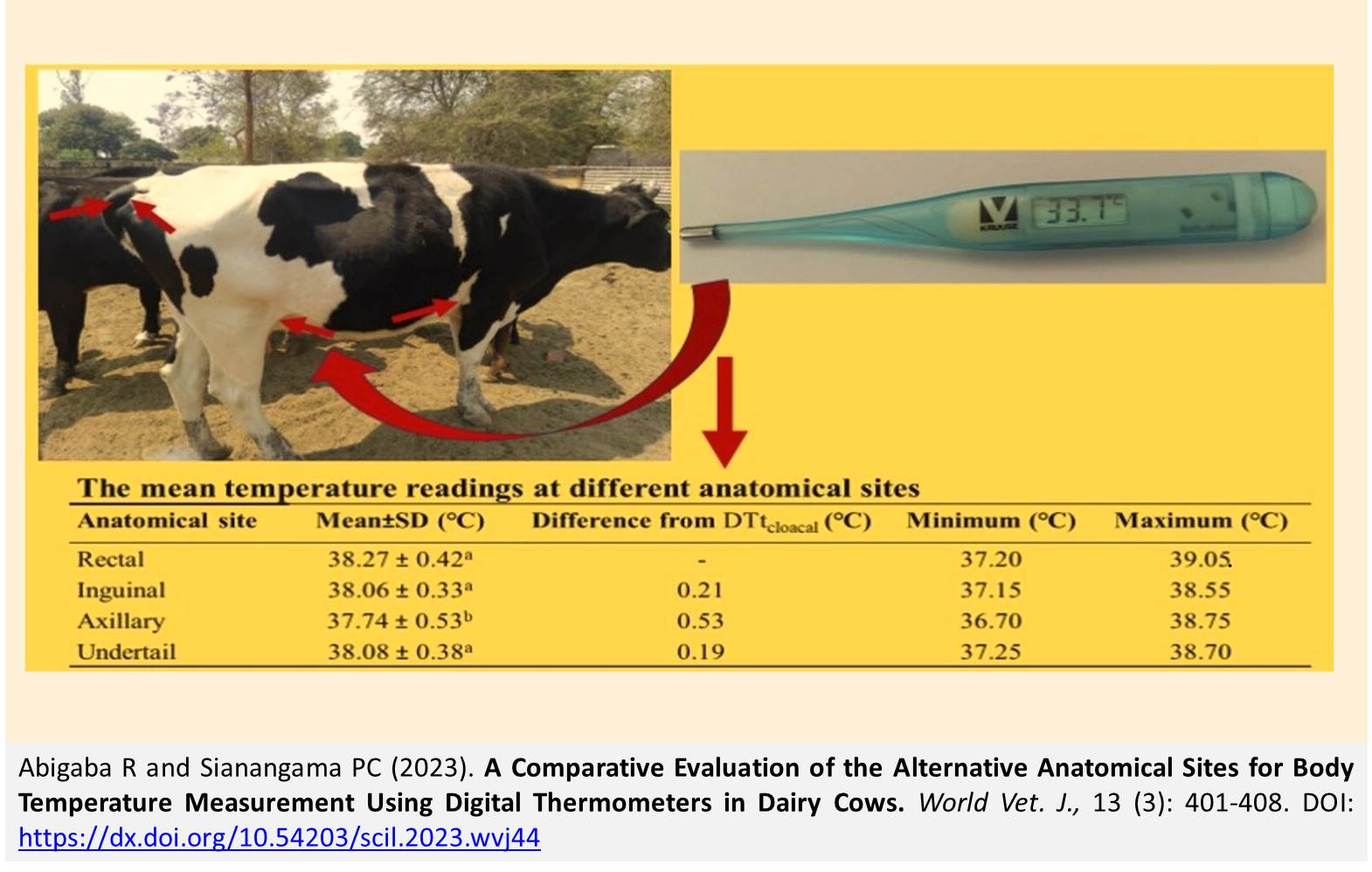 240-Body_Temperature_Measurement_Using_Thermometers_in_Dairy_Cows