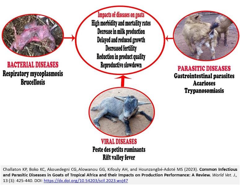 241-_Parasitic_Diseases_in_Goats