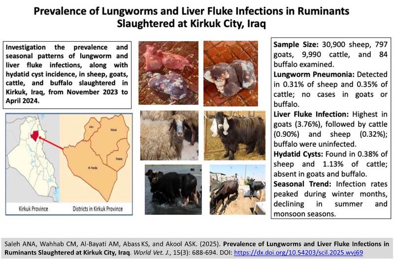 553-Lungworms_and_Liver_Fluke