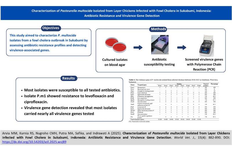635-Pasteurella_multocida
