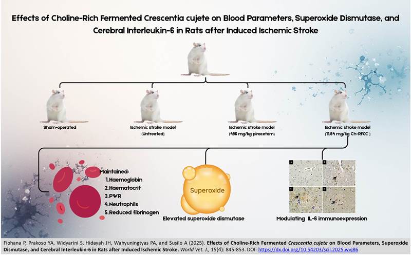 673-Choline-Rich_Fermented_Crescentia_cujete