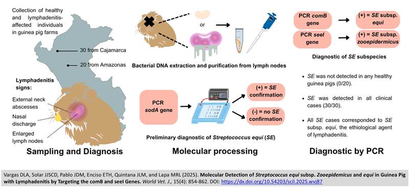 685-Streptococcus_equi