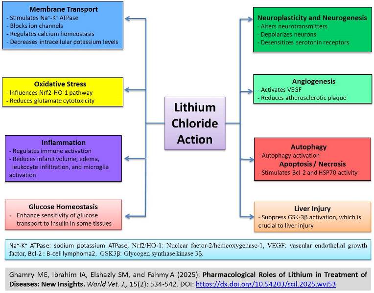 FSC-07--_Lithium