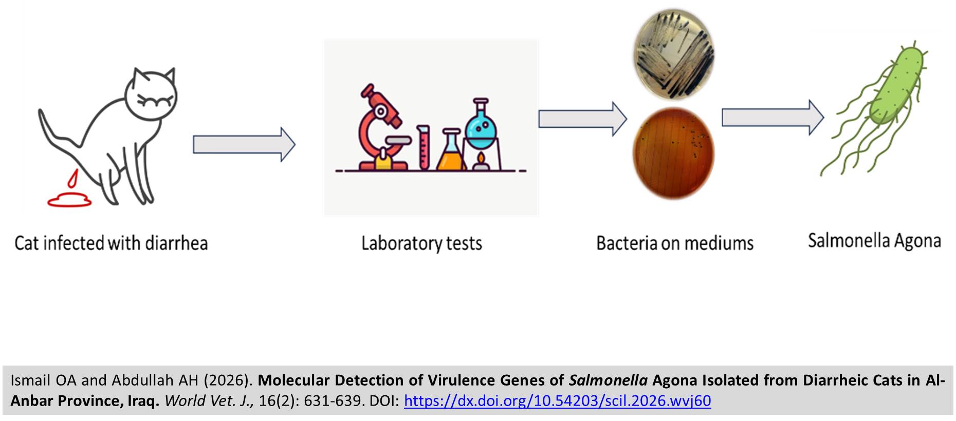 1900-95-Salmonella_Agona_Isolated_from_Diarrheic_Cats_in_Al-Anbar_Province_Iraq