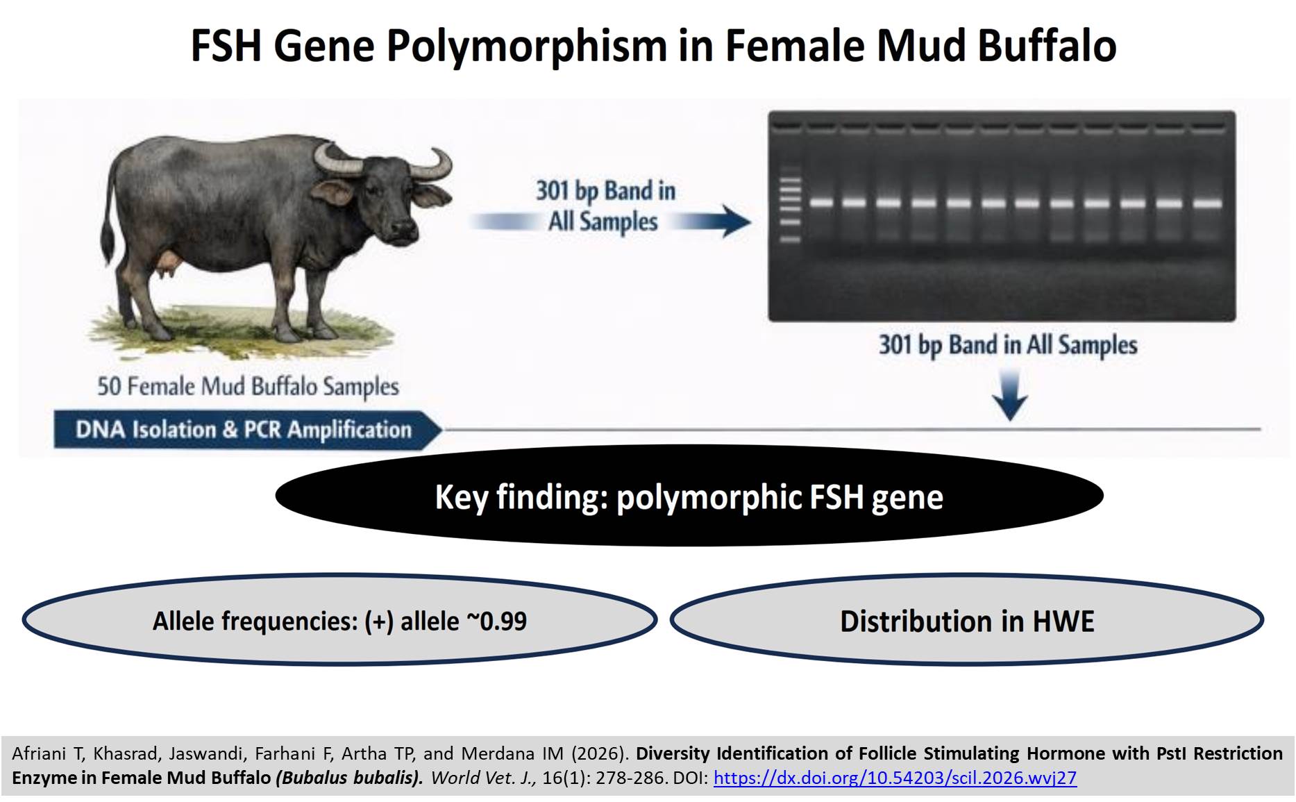 640-Follicle_Stimulating_Hormone_with_PstI_Restriction_Enzyme_in_Buffalo