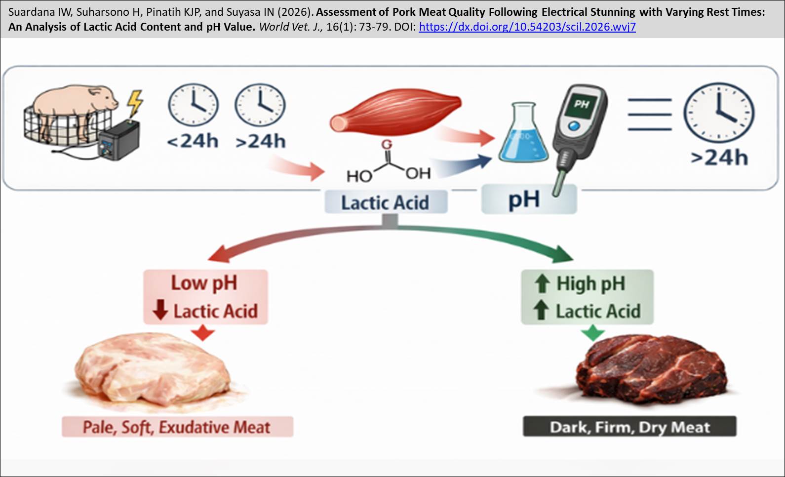 692-Assessment_of_Pork_Meat_Quality_Following_Electrical_Stunning_with_Varying_Rest_Times
