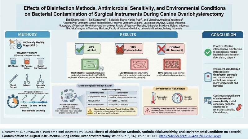 720-canine_ovariohysterectomy---