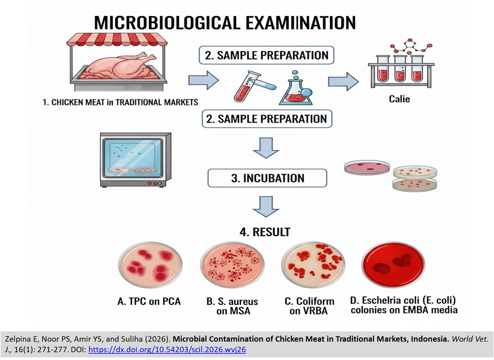 724-Microbial_Contamination_of_Chicken_Meat_in_Traditional_Markets_Indonesia