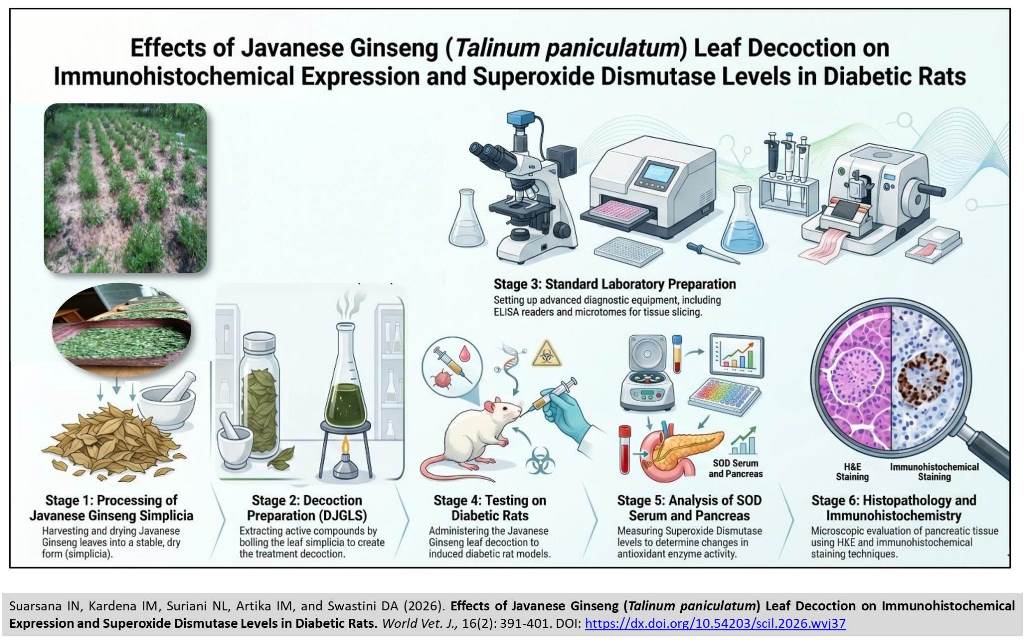 763-Javanese_Ginseng_on_rats