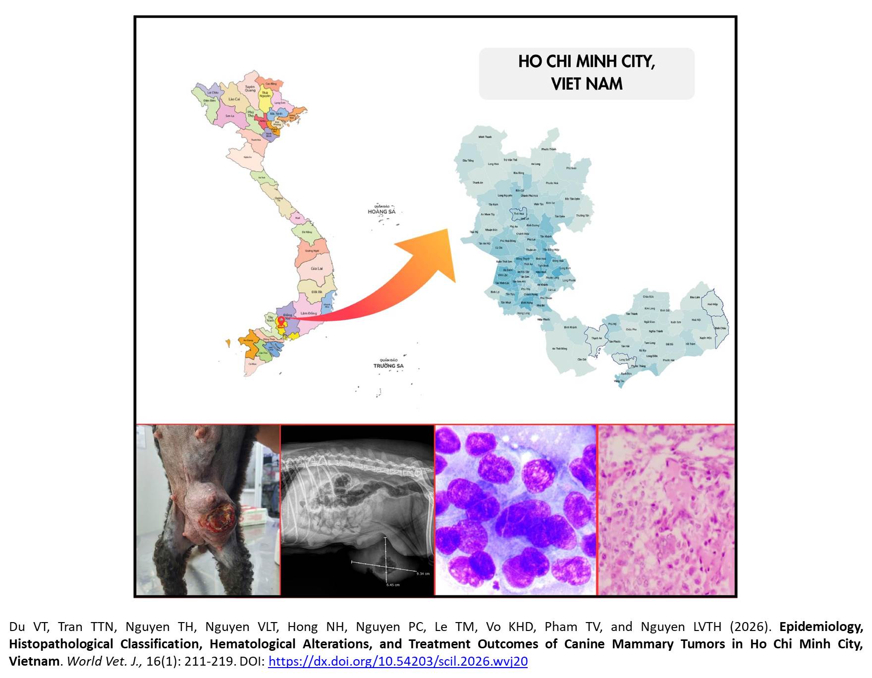 765-Treatment_Outcomes_of_Canine_Mammary_Tumors_in_Ho_Chi_Minh_City