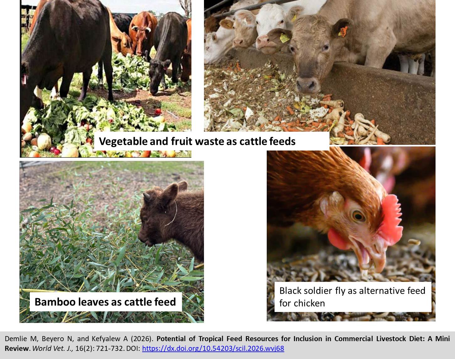 773-Tropical_Feed_Resources_for_Inclusion_in_Commercial_Livestock_Diet