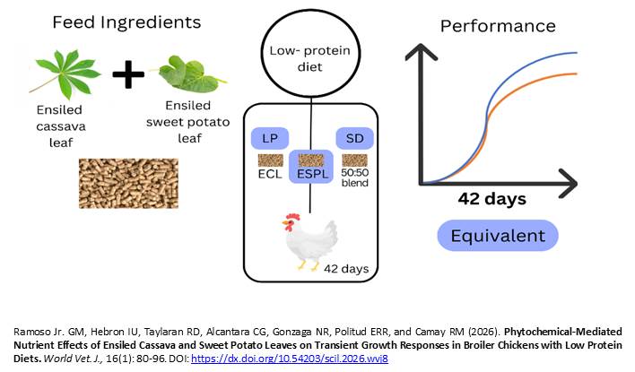 775-Ensiled_Cassava_and_Sweet_Potato_Leaves_on_Transient_Growth_Responses_in_Broiler_Chickens