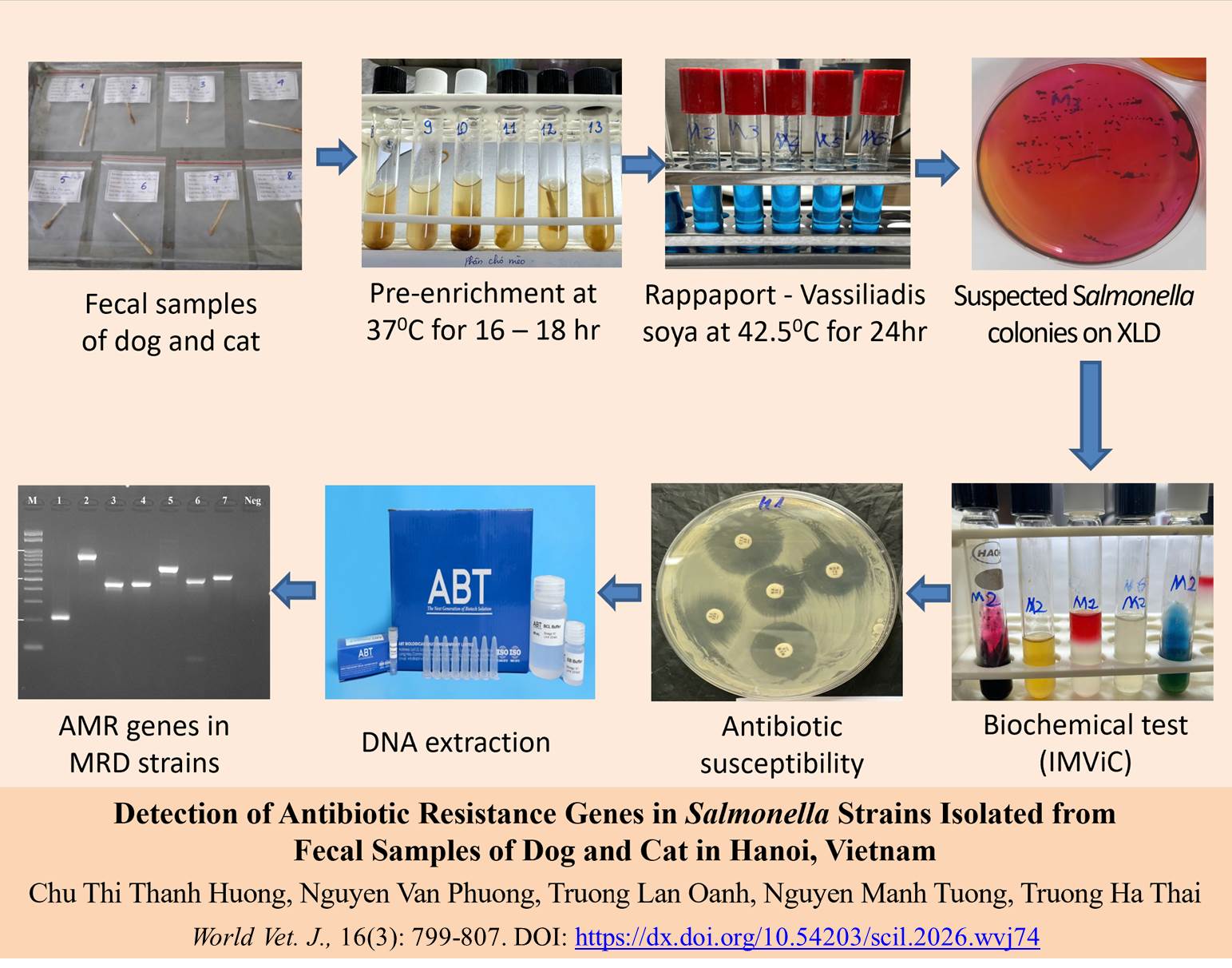 824-Salmonella_Strains_Isolated_from_Fecal_Samples_of_Dogs_and_Cats_in_Hanoi_Vietnam