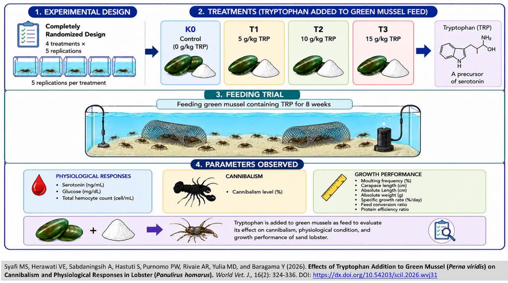 838-Tryptophan_Green_Mussel_Cannibalism_Lobster