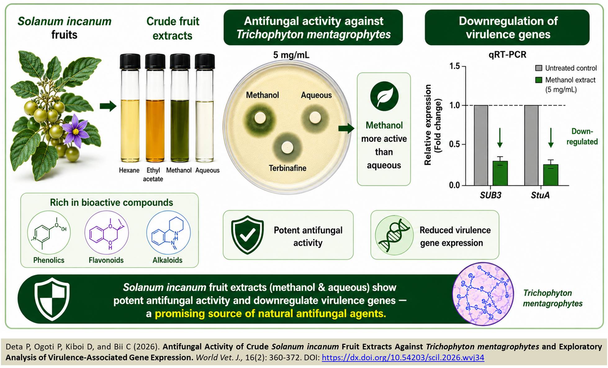 858-Crude_Solanum_incanum_Fruit_Extracts_Against_Trichophyton_mentagrophytes_
