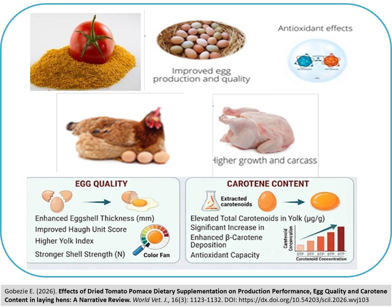 869-Production_Performance_Egg_Quality_and_Carotene_Content_in_laying_hens